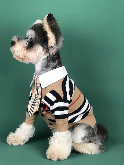 luxury dog clothing.